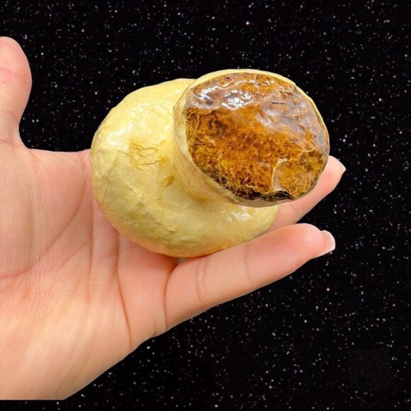 México Folk Art Paper Mache MUSHROOM Faux Vegetable Fruit Shaped 3 Pcs Set  3”T - Picture 7 of 12